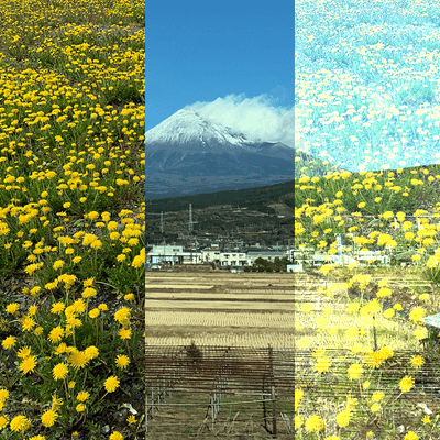 Image output for example 2